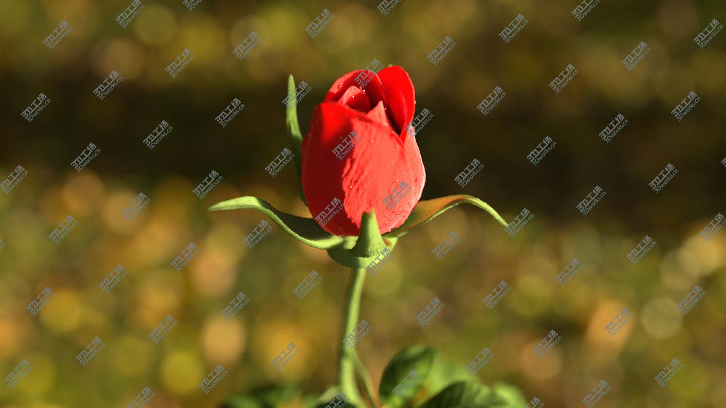 images/goods_img/20210114/Rose animated 3D model/1.jpg